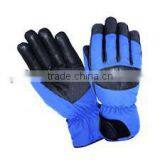 Ski Gloves