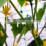 HOT Selling High Quality Plastic Cucumber Net thumbnail-2