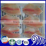 Frozen Fish Tilapia Fillet Sea Food thumbnail-3