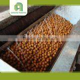 High Quality Light Quarters Walnut Kernels Market Price thumbnail-4