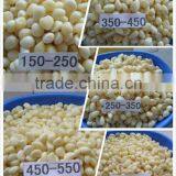 Garlic in Brine 2015 Crop thumbnail-1