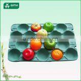 Hot Selling Factory Directly Wholesale Molded Paper Apple Tray