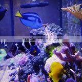 ESUN Polycaprolactone (polymorph)for Coral Reef Frag Glue Application in Aquarium thumbnail-6