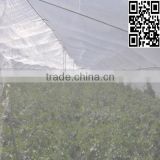Agriculture plastic net for greenhouse