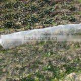 Steel Wire Frame With Plastic Cover Tunnel ,tunnel Greenhouse HX57026 thumbnail-1