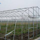 Agriculture Grow Tent thumbnail-1