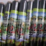 PE Plastic Agriculture Plastic Mulch Film thumbnail-2