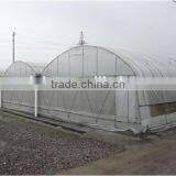 Outside Shading Sun Flower Cultivation in Greenhouse thumbnail-1