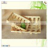 Disposable Fruits Sushi Serving Place Wood Veneer Tray thumbnail-2