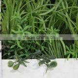China Guangdong Artificial Grass Wall Interior Green Wall for Decor thumbnail-5