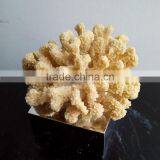 Indoor Resin Coralal Sculpture thumbnail-4