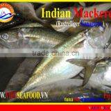 W/R FROZEN INDIAN MACKEREL thumbnail-1