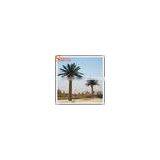 Hot Sale Artificial Decorative Metal Palm Trees thumbnail-2