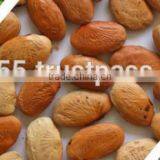 Pongamia Oil thumbnail-4