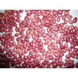 RED KIDNEY BEANS thumbnail-1