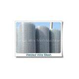 Welded Wire Mesh