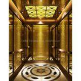 Beautiful Delfar Passenger Elevator