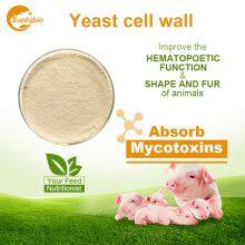 Yeast Cell Wall thumbnail-5