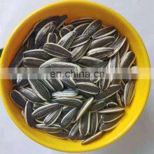 TN Sell Low Priced Chinese Snack Sunflower Seeds/sunflower Seeds Kernels Raw Sprouted Nuts thumbnail-2