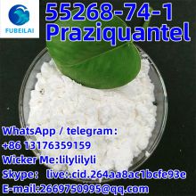 Praziquantel 99% White powder CAS:55268-74-1 FUBEILAI whatsapp:8613176359159