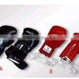 Boxing Gloves(BG-01)