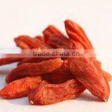 Best Quality Chinese Organic Goji
