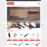 Website Designing Company