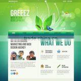 Seo Company