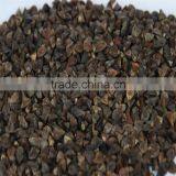 Buckwheat thumbnail-2