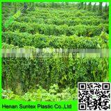 Garden Pea Trellis Netting Garden Support Mesh Net Climbing Plant Support Netting thumbnail-4