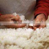Whole Sale Automatic Wool Washing Machine thumbnail-4