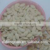 Shine Skin Pumpkin Seeds Wholesale Raw Material thumbnail-6