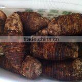 Fresh Chinese Taro for Sale thumbnail-2