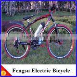 Tianyang High Quality Fengsu Electric Bicycle thumbnail-1