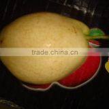 Pear thumbnail-1