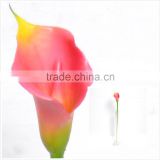 Real Touch Calla Lily, scarlet