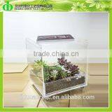 DDH-T140 Trade Assurance Low Glass Coffee Table thumbnail-1