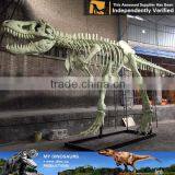 MY Dino-C049 Protoceratops Dinosaur Skeleton Sculpture for Sale thumbnail-6