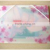 A4 plastic document wallet , travel document wallet