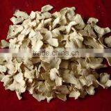 ORGANIC FRESH GINGER CALL ME: 0084 977132019 thumbnail-1