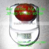 Buy Chestnuts From China Supplier