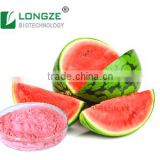 Free Sample Good Water-soluble watermelon juice powder/Spray Dried wetermelon juice powder for Food and Beverage