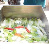 Low Cost Double Trough Vegetable and Fruit Washing Machine thumbnail-6