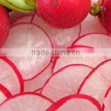 Made in China Frying Plantain Chips Machines thumbnail-3