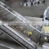 Frozen Vegetables Production Line thumbnail-5