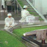 Food Machinery Manufacturer Green Pea Frozen Production Line thumbnail-4
