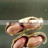 After-sales Service Provided Peanut Machine for Sale thumbnail-6