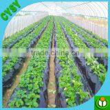 CHINA Factory Supply 100% New Material Mulch Film /mulch Film With Holes for Ground to Cover Vegetables thumbnail-2