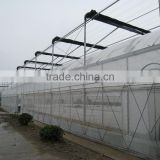 Plant greenhouse for flower