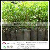 Gardening Use Non Woven Fabric thumbnail-3